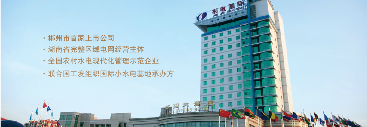 Hunan Chen Dian International Co., Ltd